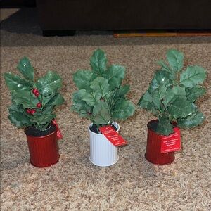 ashland christmas mini accent trees